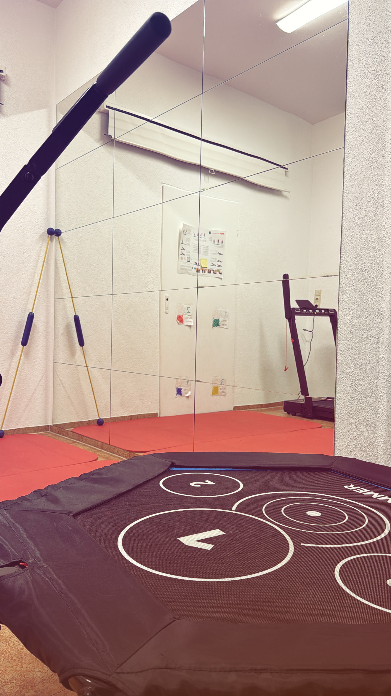 physio trampolin